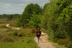 Zwervend bestaan